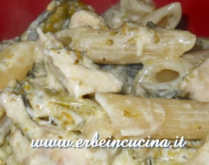 Pasta con crema di pollo alla santoreggia