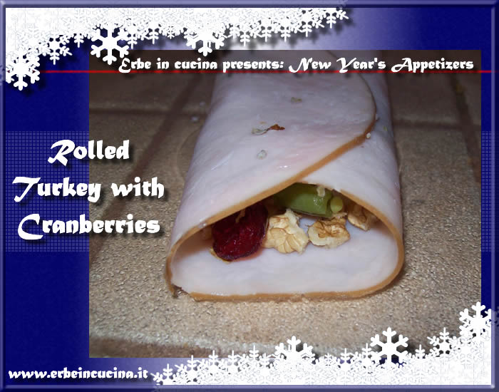 Rolled turkey with cranberries