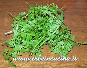 Cress