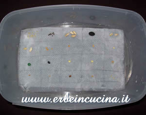Sowing
