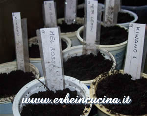 Sowing
