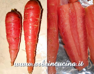 Carota Atomic red