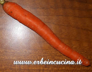 Carota Sugarsnax