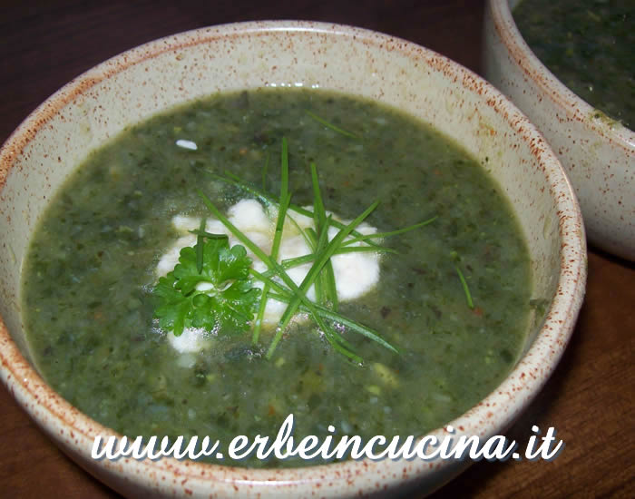 Minestrone rustico con erba stella