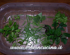 Aromatic herbs