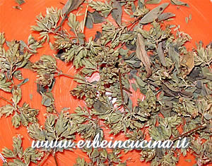 Origano secco