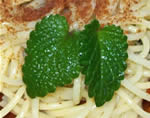 Cooking with Lemon Balm