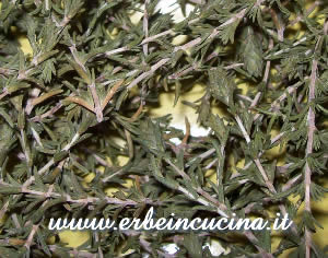 Thyme