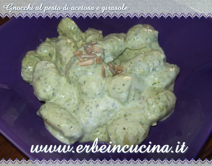 Gnocchi al pesto di acetosa e girasole