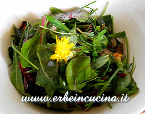 Insalata tarassaco e portulaca