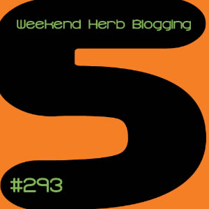Weekend Herb Blogging