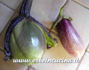 Aubergines