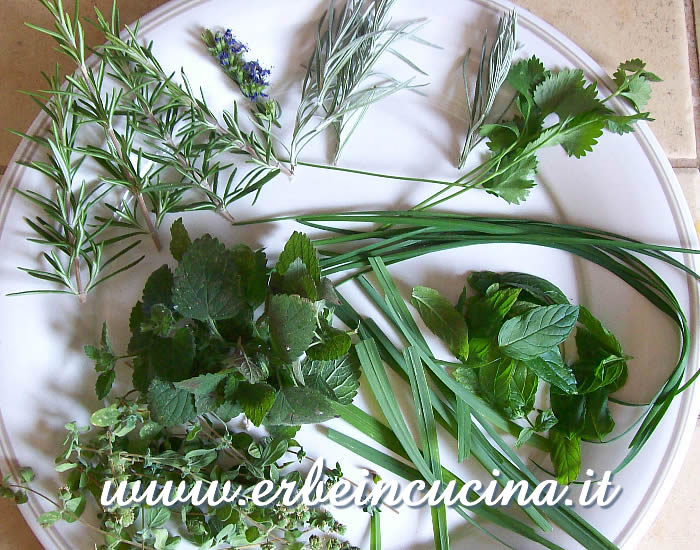 Erbe aromatiche