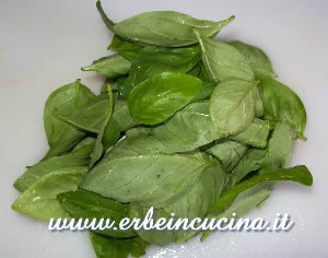 Basil