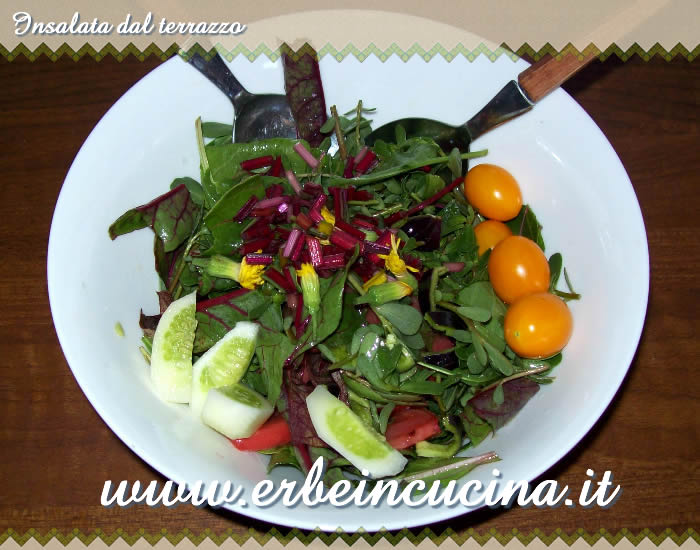 Insalata dal terrazzo