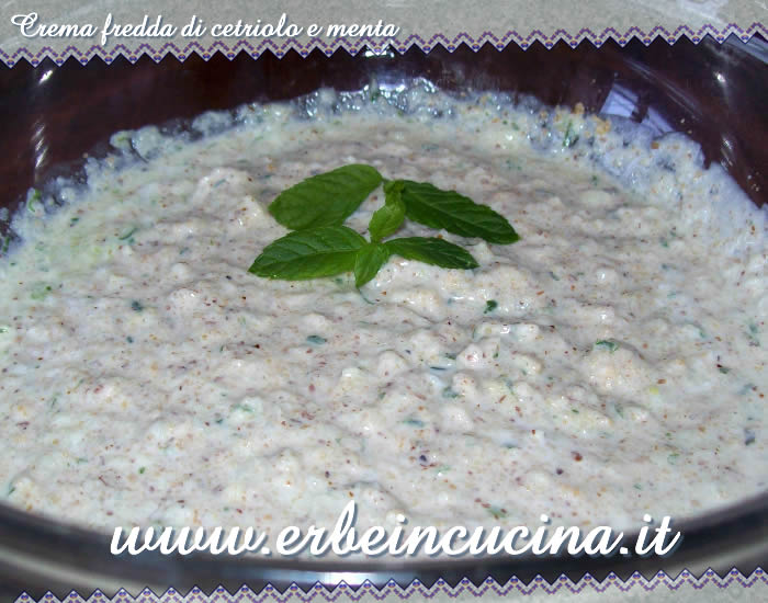 Crema fredda di cetriolo e menta