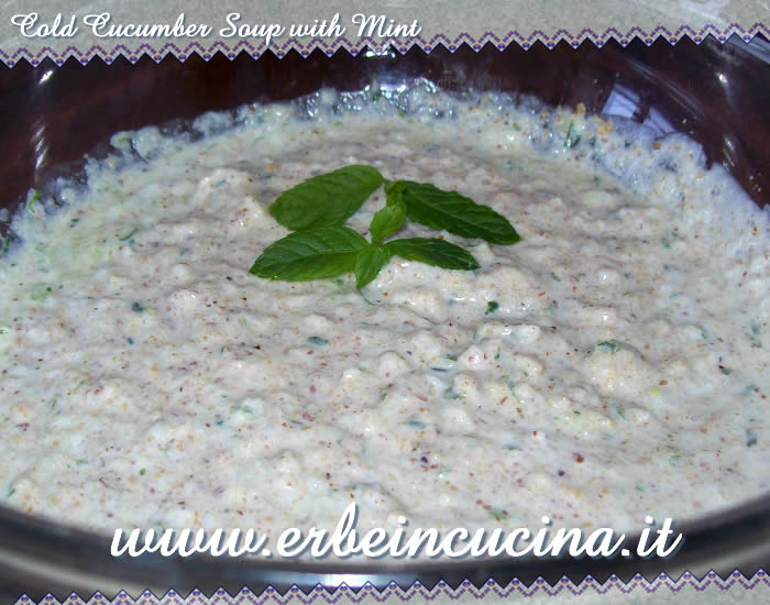 Cold cucumber soup with mint