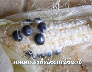 Black Aztec Corn