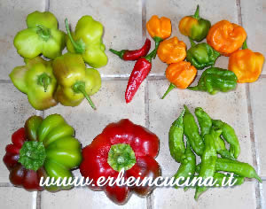 Chilies