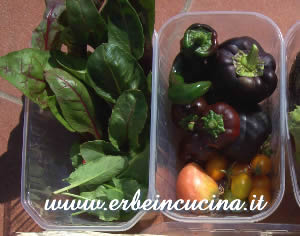 Harvest