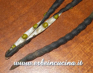 Mung Beans
