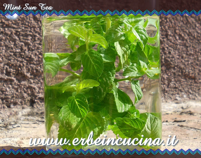 Mint sun tea