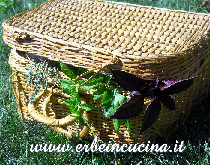 Picnic alle erbe aromatiche