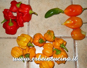 Chilies