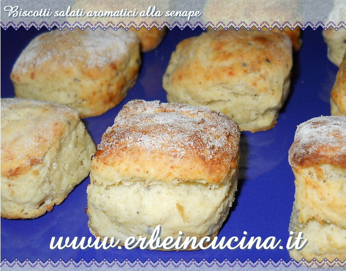 Biscotti salati aromatici alla senape