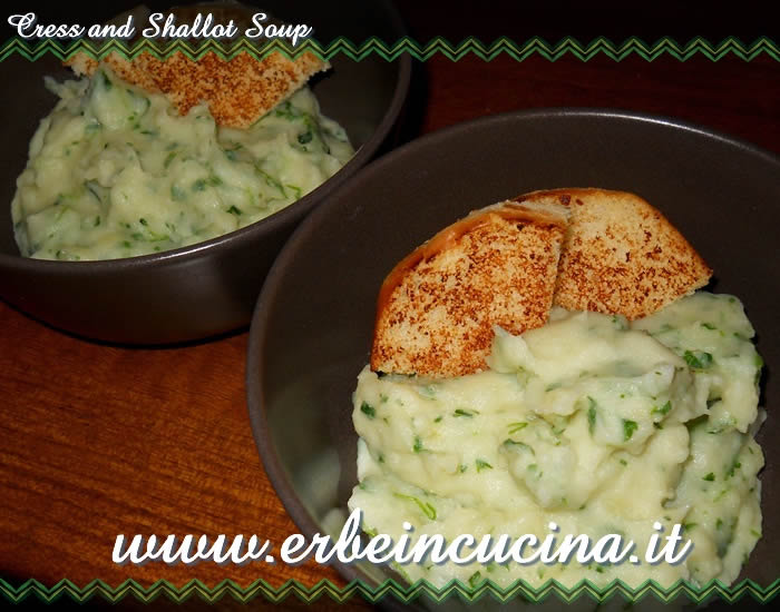 Cress and shallot soup