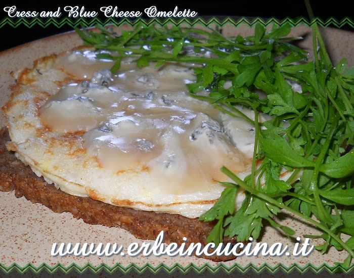 Cress and Blue cheese omelette