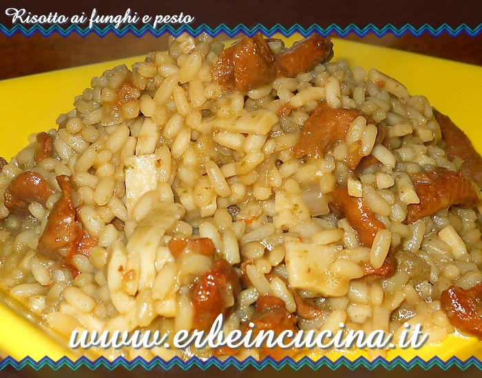 Risotto ai funghi e pesto