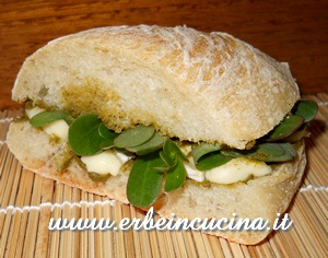 Pesto and purslane sandwich