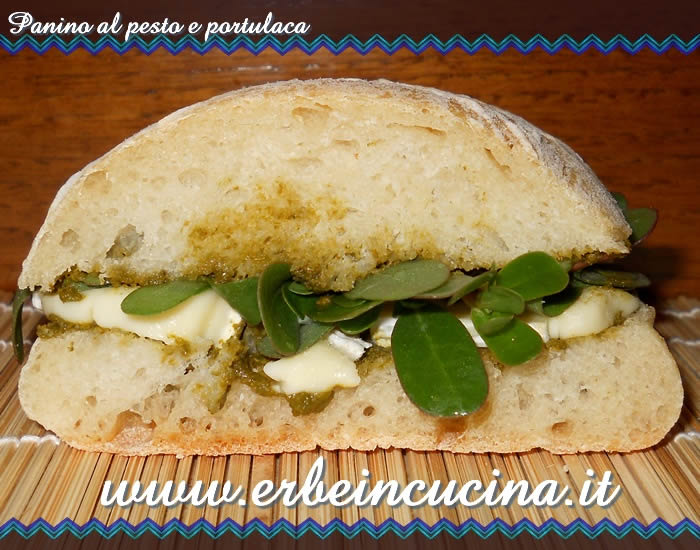 Panino al pesto e portulaca