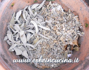 Sage and marjoram