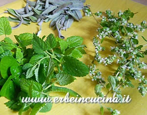 Erbe aromatiche in cucina