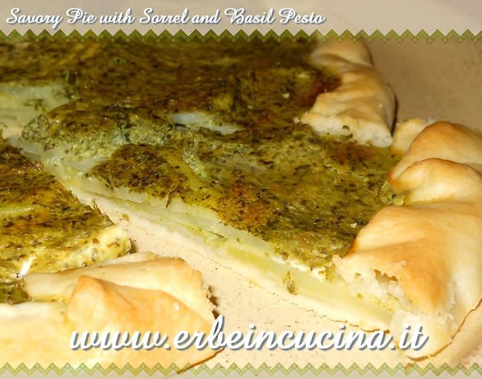 Savory pie with sorrel and basil pesto