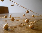 Flax