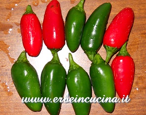 Jalapeno Tam