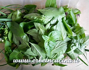 Basil