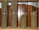 Herbs