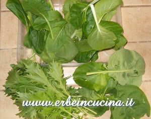 Greens