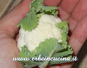 Mini cauliflower
