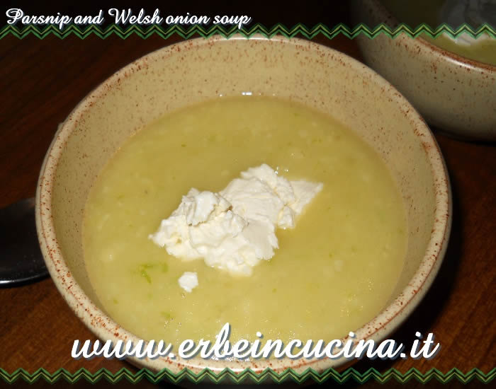Parsnip and Welsh onion soup