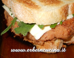 Sandwich con erba stella
