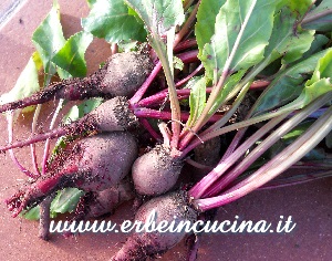 Beetroots