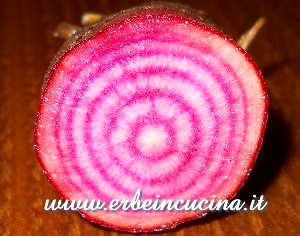 Barbabietola Chioggia