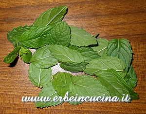 Menta romana