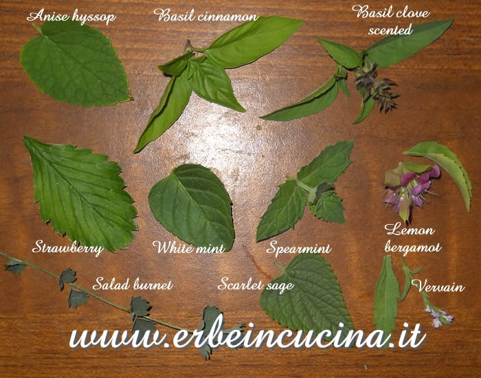 10 Herbs tea