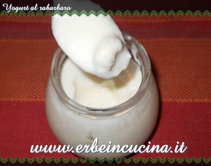 Yogurt al rabarbaro